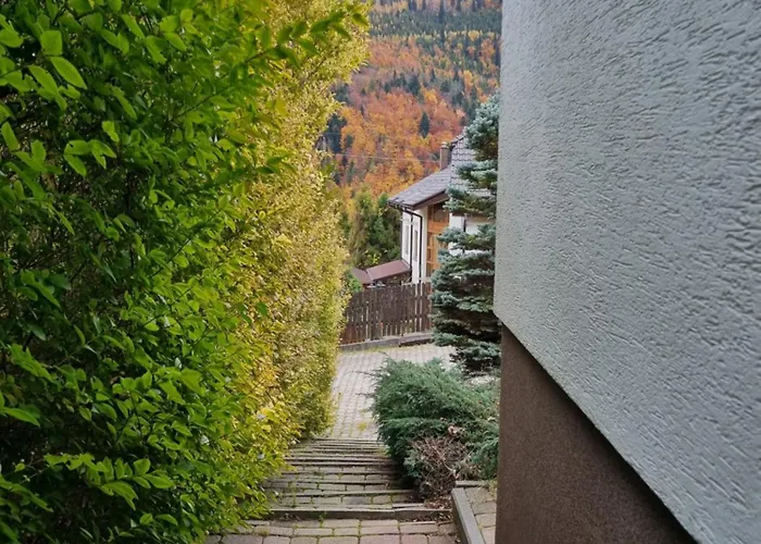 Szczyt Wszystkiego * שצ'צ'ירק